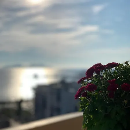 Angela Seaview * Влёра